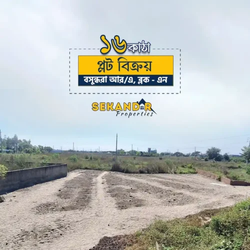 Desirable 16 Katha Plot in Block N, Bashundhara R/A