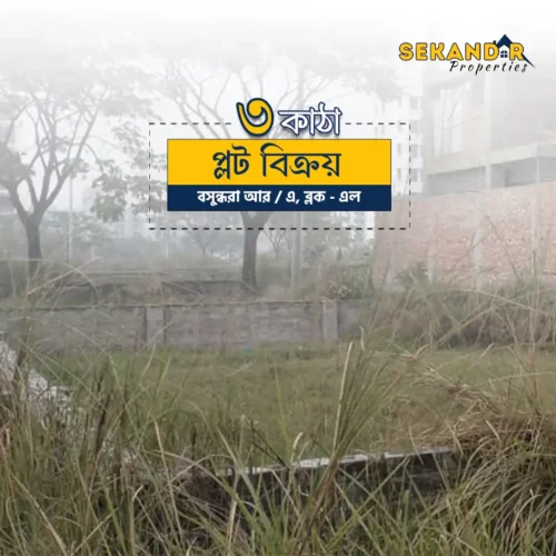 3-Block-L-Bashundhara- R-A 3 Katha Lucrative Plot in Block L, Bashundhara R/A